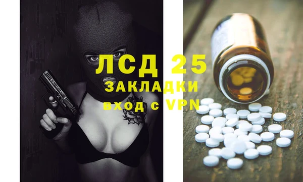 ГАЛЛЮЦИНОГЕННЫЕ ГРИБЫ Гусь-Хрустальный
