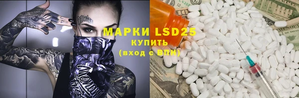 ГАЛЛЮЦИНОГЕННЫЕ ГРИБЫ Гусь-Хрустальный
