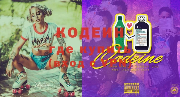 ГАЛЛЮЦИНОГЕННЫЕ ГРИБЫ Гусь-Хрустальный