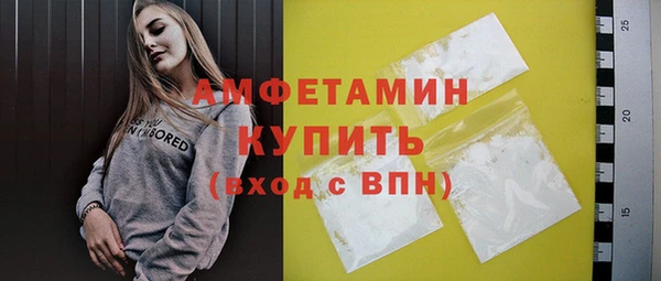 ГАЛЛЮЦИНОГЕННЫЕ ГРИБЫ Гусь-Хрустальный