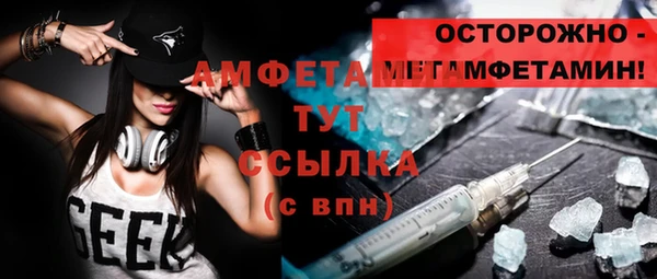 ГАЛЛЮЦИНОГЕННЫЕ ГРИБЫ Гусь-Хрустальный