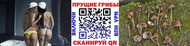 Купить закладки  Карпинск  Галлюциногенные грибы мухоморы 